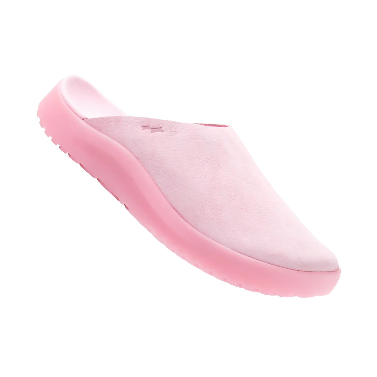 SUNKEN-MULE-8.webp SUNKEN MULE CORAL - Image 1